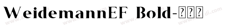 WeidemannEF Bold字体转换